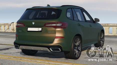 BMW X5 (G05) Te Papa Green