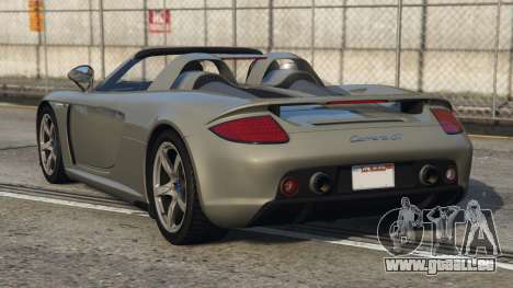 Porsche Carrera GT Quick Silver