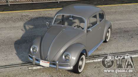 Volkswagen Beetle Jumbo