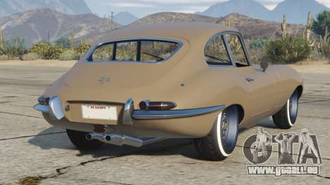 Jaguar E-Type Rodeo Dust