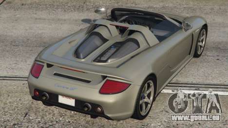 Porsche Carrera GT Quick Silver