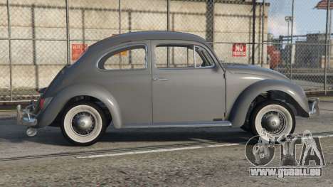 Volkswagen Beetle Jumbo