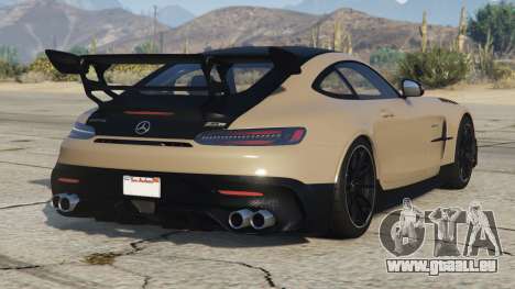 Mercedes-AMG GT Black Series (C190) Rodeo Dust