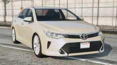 Toyota Camry Sisal [Replace] pour GTA 5